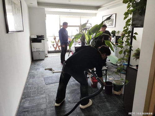 带学员实操办公室地毯清洗