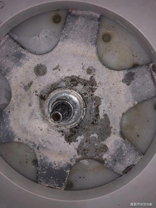 家电清洗最好请专业人士,切不可盲目拆洗,否则后果很严重