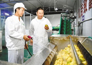 镇坪 自愿留基层扶贫干部掠影