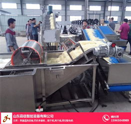 山东嘉信凤尾菇清洗机 高效清洗解决方案与产品展示
